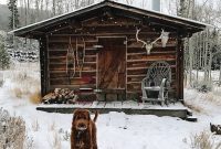 From Wilderness to City Life A Colorado Journey Through Walden and Fort Collins