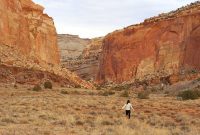 Desert Drives and Canyon Wonders: An American Road Trip Through Nevada and Capitol Reef