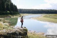 Discover Glacier Bay National Park An Alaska Travel Guide