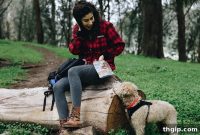 San Francisco’s Top Trails: Urban Escapes and Coastal Wonders