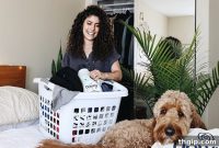 Beyond the Hangers: My Capsule Wardrobe Revelations