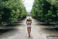 Unlock Boise Idaho Why This City Deserves Your Immediate Attention