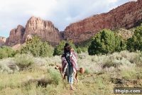 Desert Wisdom: A Southwest Road Trip’s Revelations