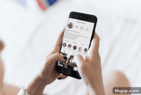 Six Months Instagram-Free: The Unexpected Truths