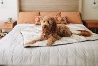 Eco-Friendly Bedding Brands