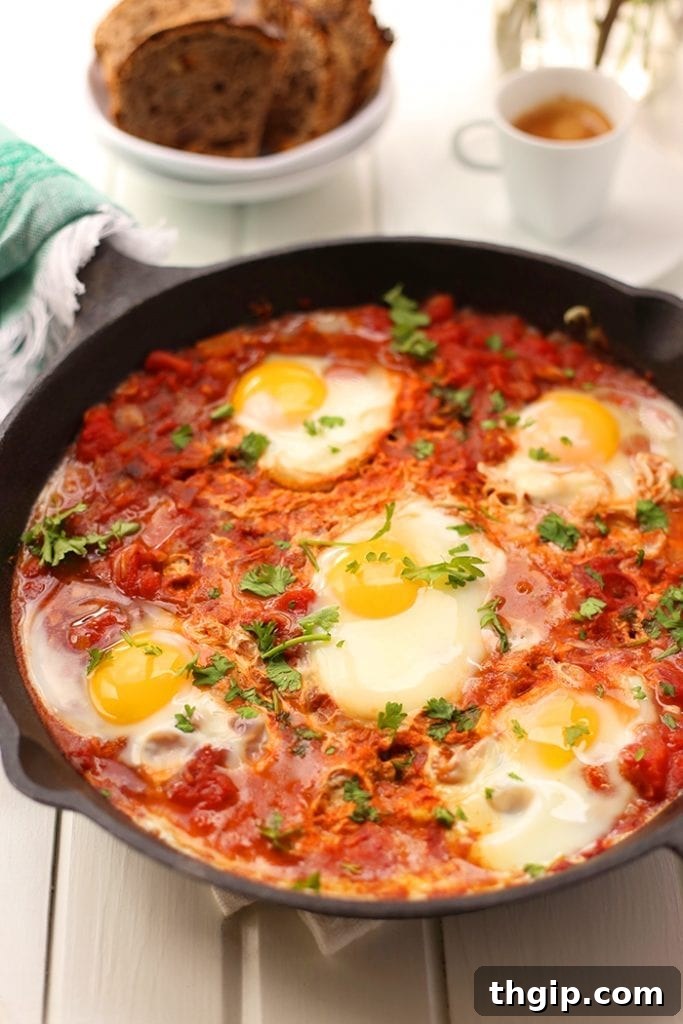 Garnished Shakshuka with Feta Finished shakshuka in a cast iron pan, topped with fresh herbs and crumbled feta, ready to be served with bread.