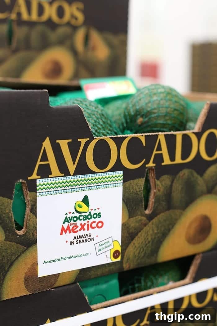Avocado Origins The Real Story 20 Where do avocados come from? A trip to Uruapan, Mexico - the avocado capital of the world!