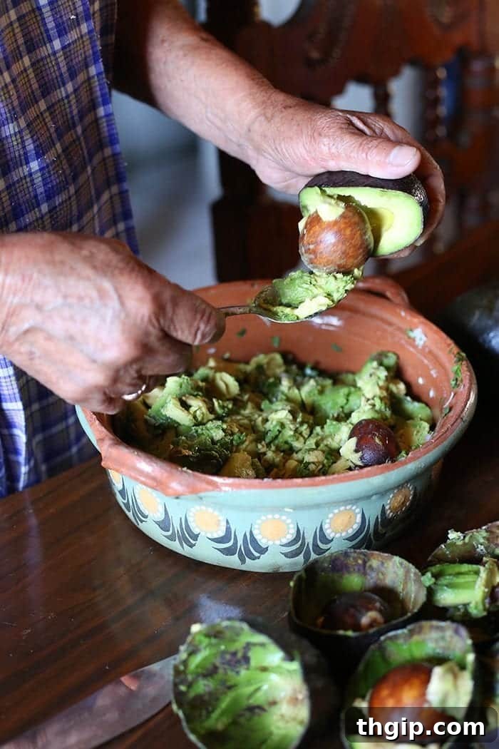Avocado Origins The Real Story 8 Where do avocados come from? A trip to Uruapan, Mexico - the avocado capital of the world!