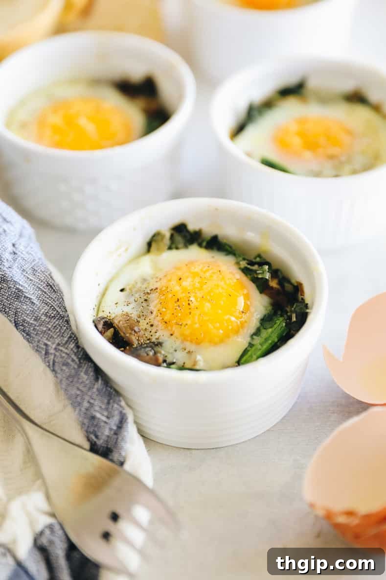Shirred Eggs 2 Three ramekins filled with perfectly baked eggs, vibrant vegetables, and a sprinkle of fresh herbs.