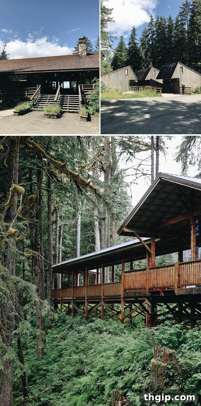 Discover Glacier Bay National Park An Alaska Travel Guide 3 Glacier Bay Lodge, offering comfortable accommodations and stunning views in Bartlett Cove.