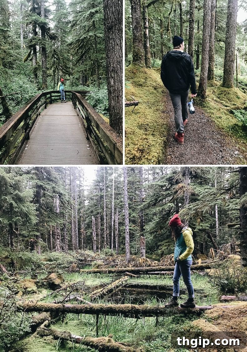 Discover Glacier Bay National Park An Alaska Travel Guide 6 Forest Loop Trail leading to the beach at low tide in Glacier Bay.