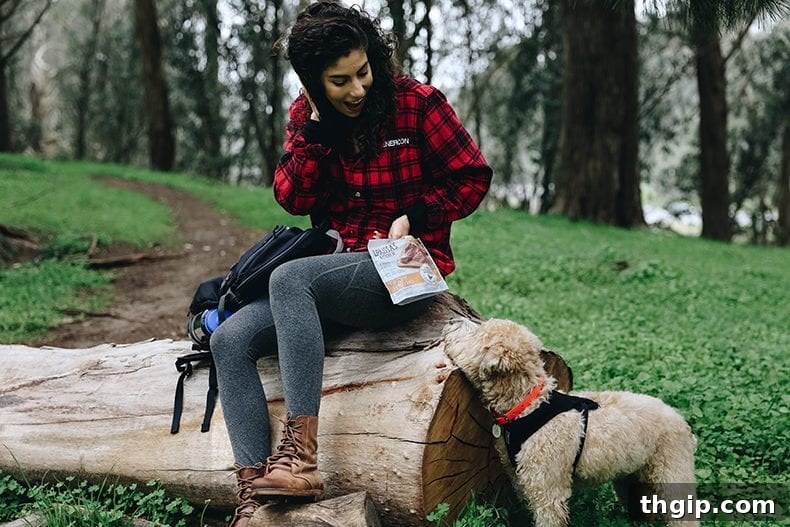 San Francisco's Top Trails: Urban Escapes and Coastal Wonders 2 A comprehensive guide to the best hiking trails in San Francisco, perfect for exploring the city's natural beauty without a car.