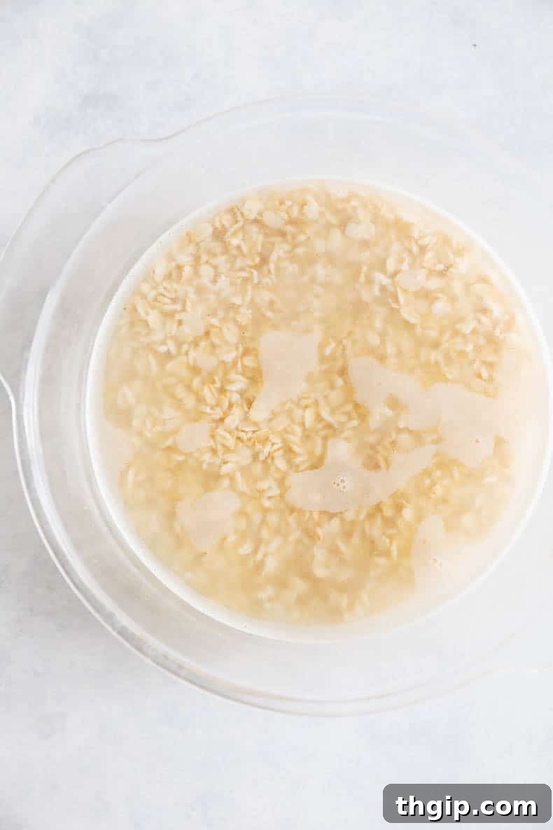 Make Your Own Oat Milk 3 Oats soaking in a bowl, preparing for oat milk blending.