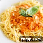 Plate of noodles topped with arrabbiata sauce and fresh basil.