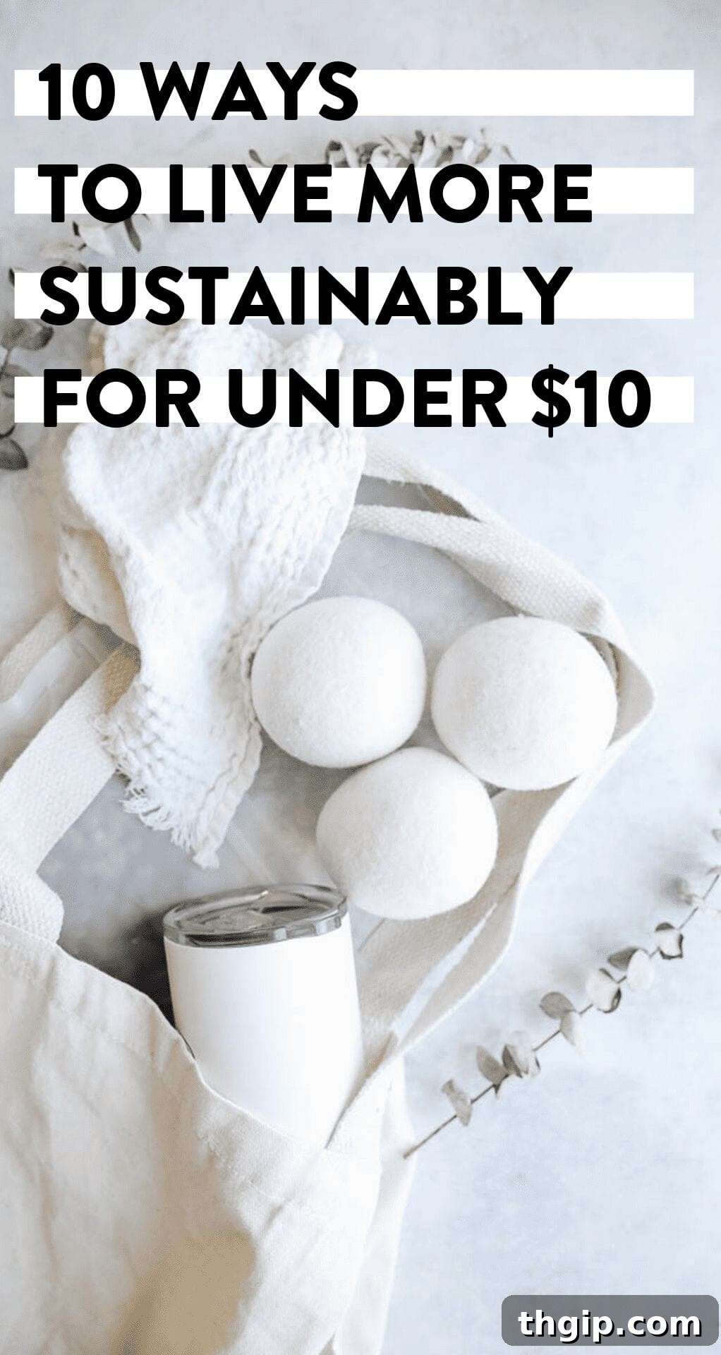 Eco-Living on a Budget: 10 Sustainable Hacks Under $10 2 Sustainable living tips for less than $10!