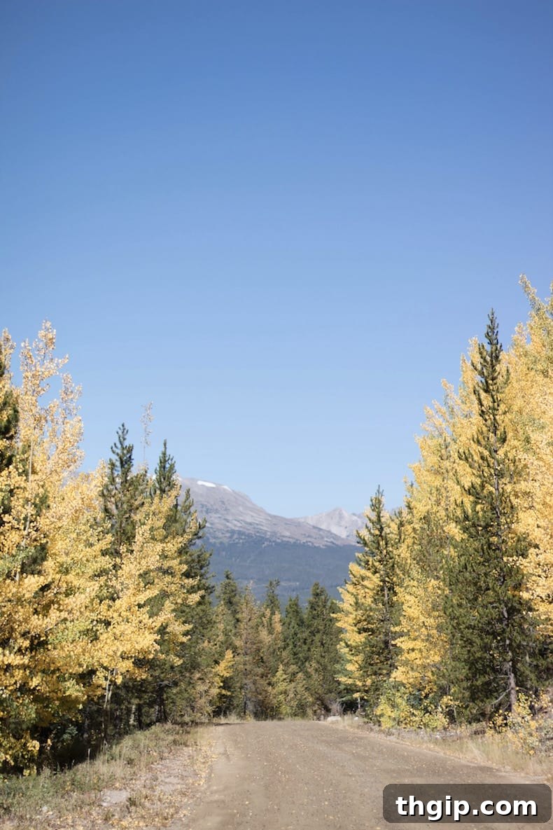 Chasing Colorado's Fall Colors 4 Scenic fall drive in Colorado