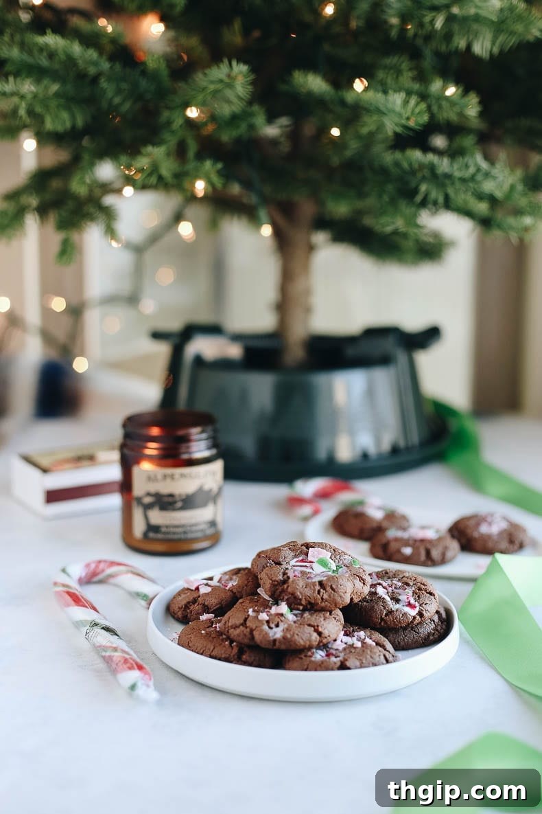 10 Healthy Christmas Cookies That Are Actually Delicious 2 Grain-free, paleo, and one-bowl Healthy Peppermint Chocolate Cookies stacked with a dusting of powdered sugar, perfect for holiday gatherings and cookie exchanges.