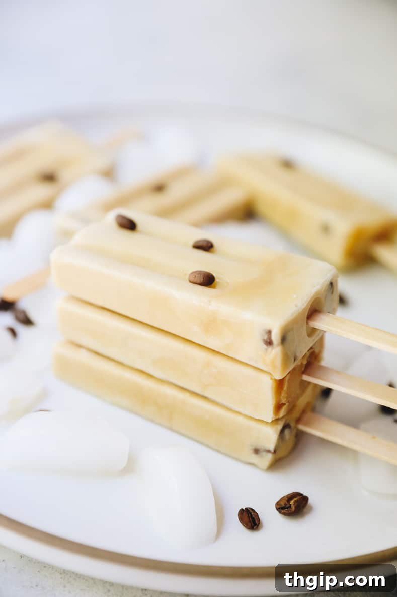Cold Brew Dream Pops 8 Close-up of a cold brew ice pop with chocolate chips