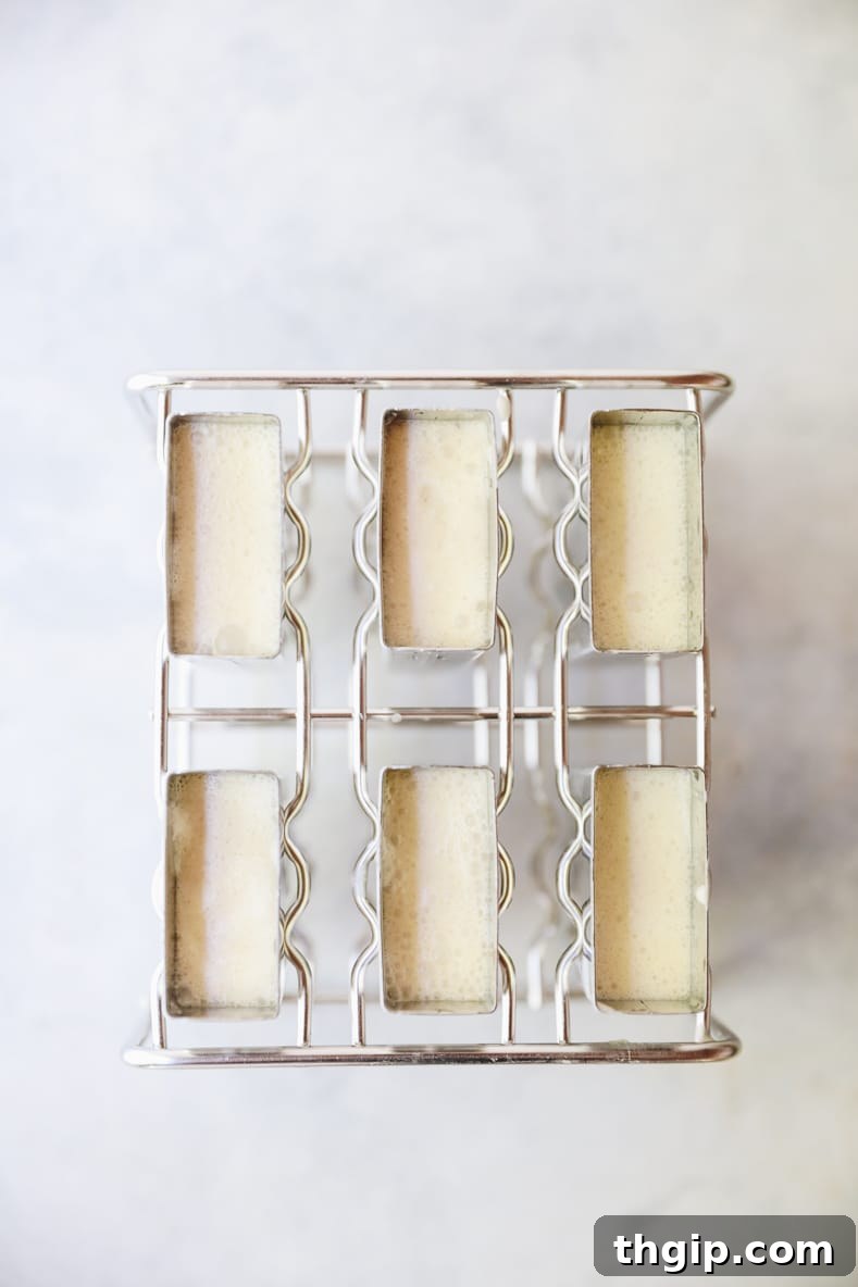Cold Brew Dream Pops 5 Filling popsicle molds with cold brew mixture and chocolate chips