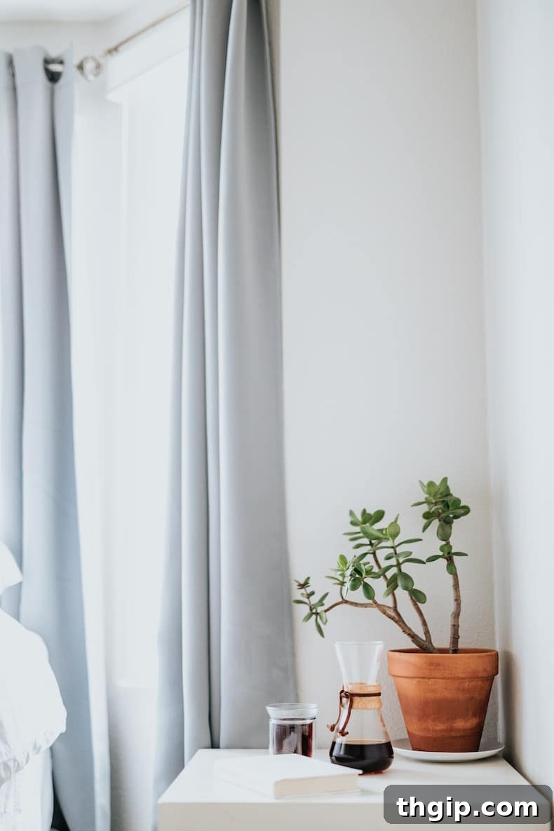 Sustainable Home Solutions