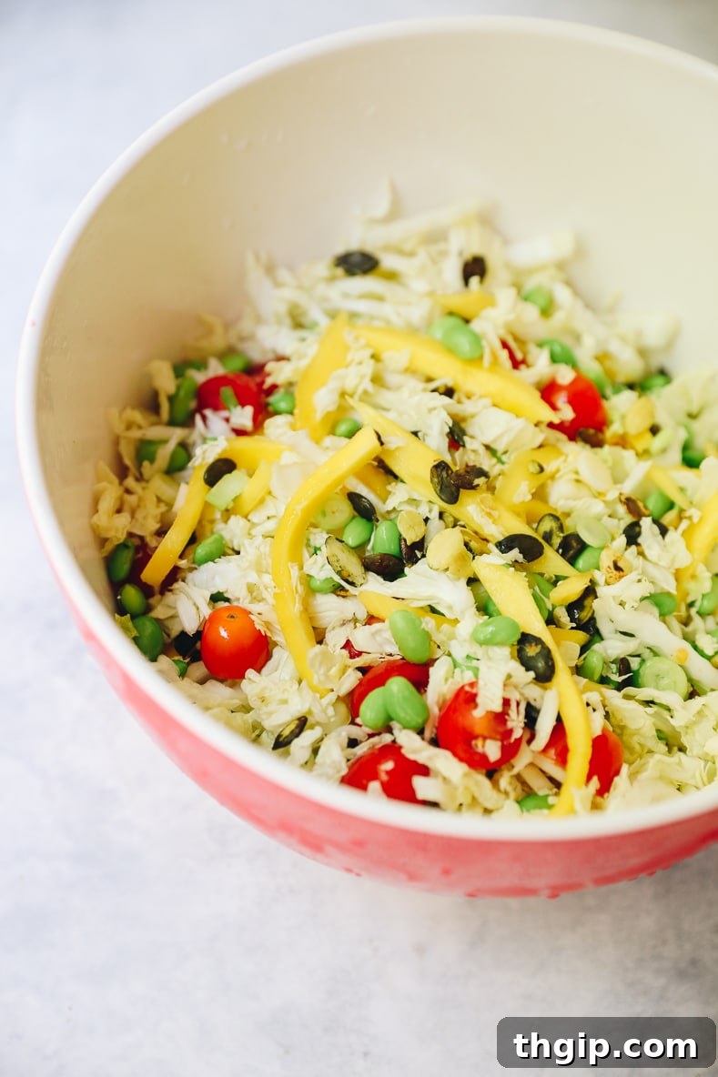 Lagoon Fresh Salad 5 Mixing bowl with shredded cabbage, cherry tomatoes, scallions, and edamame