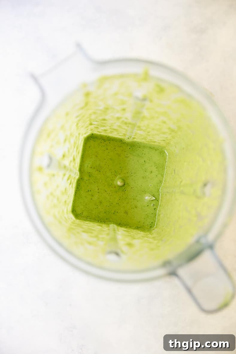 Lagoon Fresh Salad 6 Ingredients for cilantro jalapeno vinaigrette in a blender