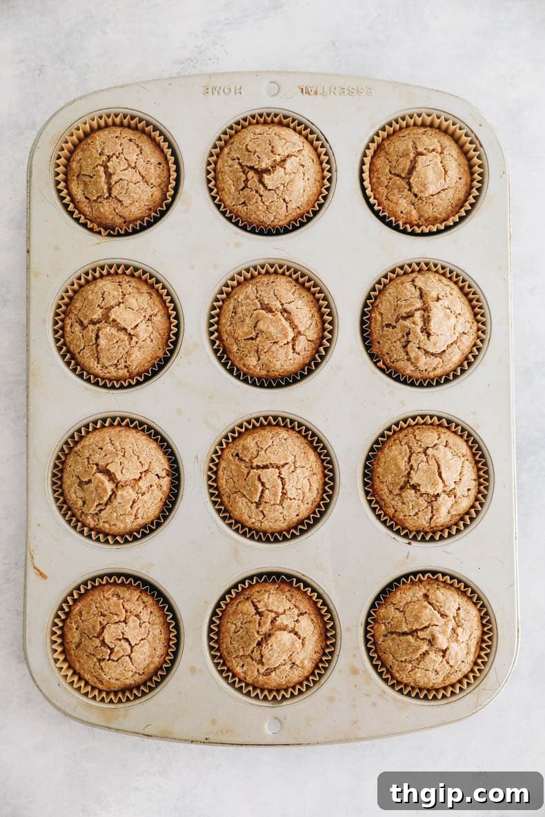 15 Wholesome Muffin Recipes 2 A selection of healthy muffins baked in a muffin tin, showcasing their golden-brown tops and inviting textures, perfect for a nutritious start to the day or a wholesome snack.