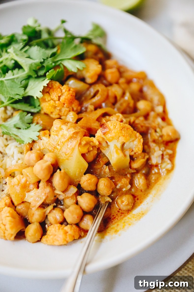 A finished bowl of Veggie Massaman Curry with rice, topped with fresh cilantro and crushed peanuts, ready to be enjoyed.