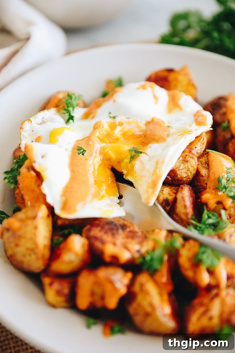 Breakfast Bravas Skillet 6 A bowl of crispy breakfast patatas bravas topped with a fried egg and drizzled with chipotle aioli, garnished with parsley.