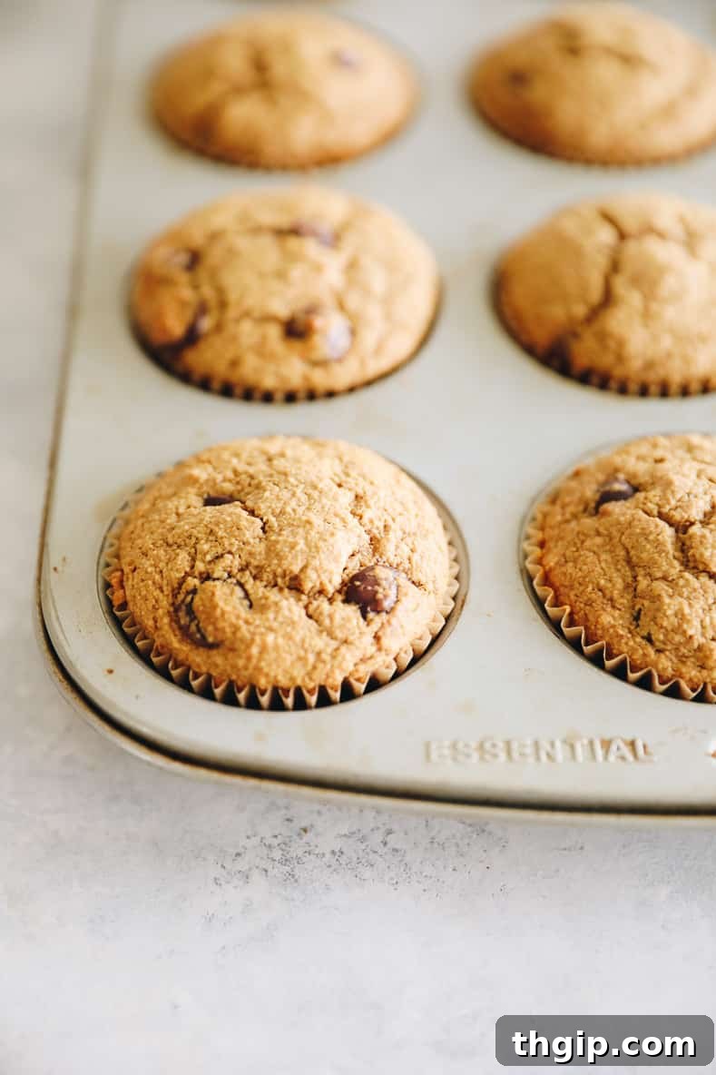 Freshly baked oat flour muffins in a muffin tin.