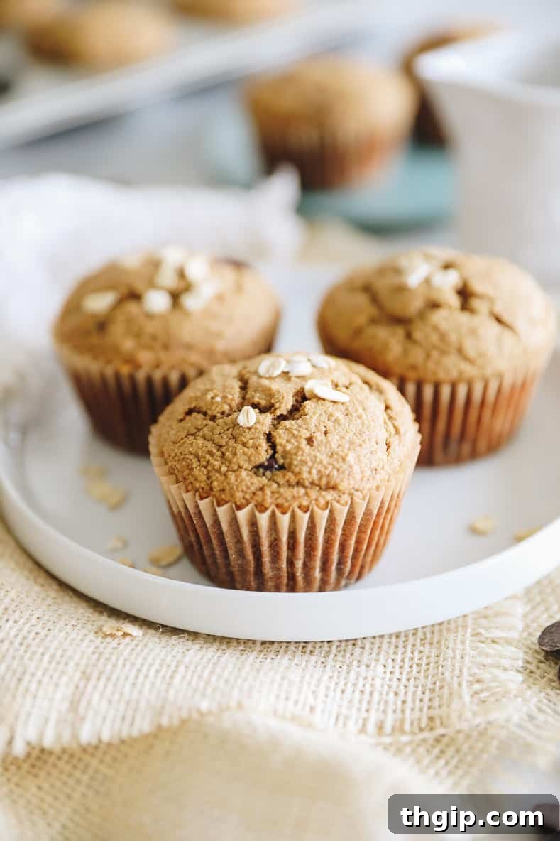 A selection of oat flour muffins on a white plate, showcasing various flavor possibilities.