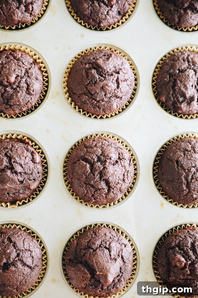 Garden Gem Chocolate Muffins 3 A close-up of two warm, freshly baked chocolate zucchini muffins, still in their paper liners, placed on a wooden surface.