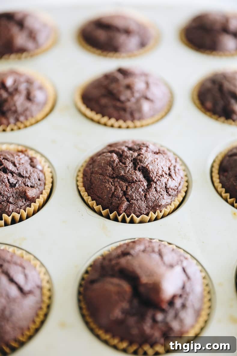 Garden Gem Chocolate Muffins 7 A muffin tin filled with unbaked chocolate zucchini muffin batter, ready for the oven, promising delicious treats.