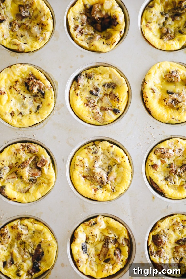 Delicious egg muffins with mushrooms and goat cheese in a muffin tin, ready to be served.