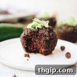 Finished Chocolate Zucchini Muffins on a plate