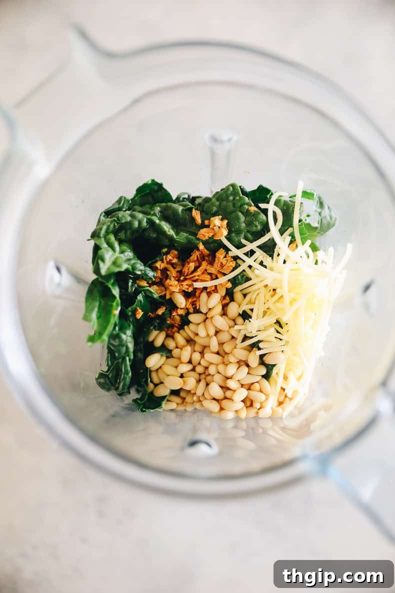 Verdant Kale Pesto Pasta 6 All the kale pesto ingredients, including blanched kale, garlic, parmesan, and pine nuts, in a blender ready to be processed.