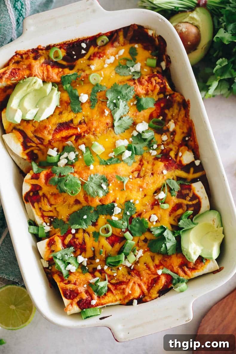 Zesty Black Bean Enchiladas 2 Overhead photo of golden-brown black bean enchiladas generously topped with melted cheese, nestled in a vibrant red baking dish, ready to be served.