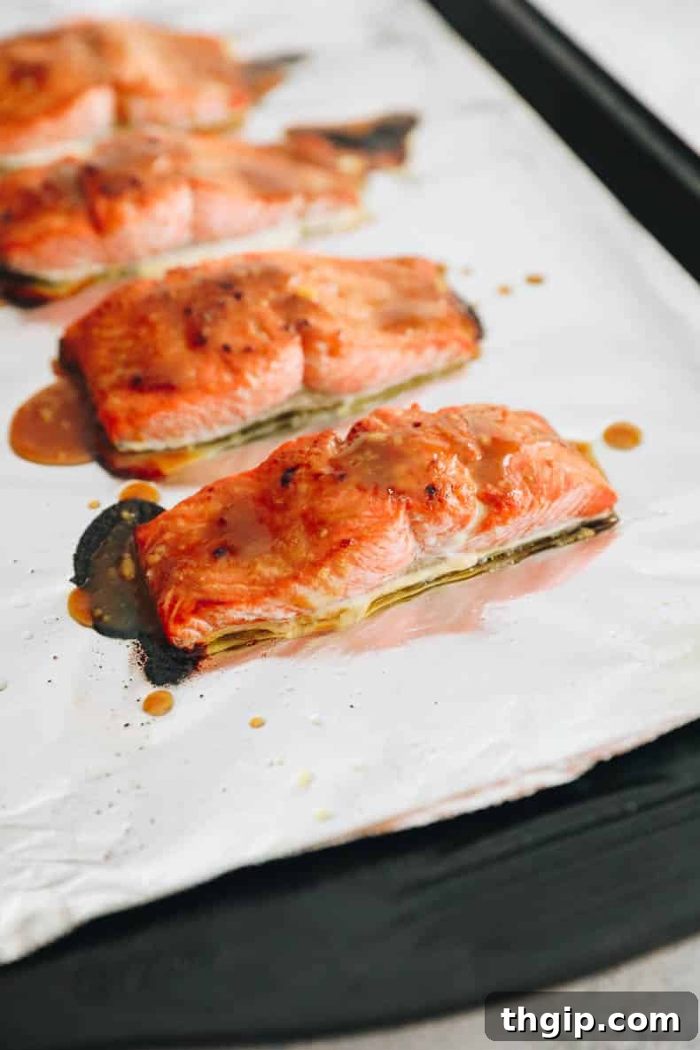 Effortless Miso Glazed Salmon 6 broiled miso salmon recipe on a baking sheet lined with tinfoil.