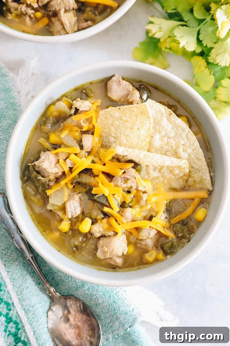 Overhead view of a comforting bowl of green chili, garnished with succulent pork, a sprinkle of fresh cilantro, melted cheddar cheese, and a side of crispy tortilla chips.