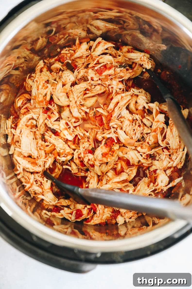 Spicy Instant Pot Chicken Fiesta 2 Irresistibly tender shredded Instant Pot Salsa Chicken, ready for your favorite Mexican dishes.