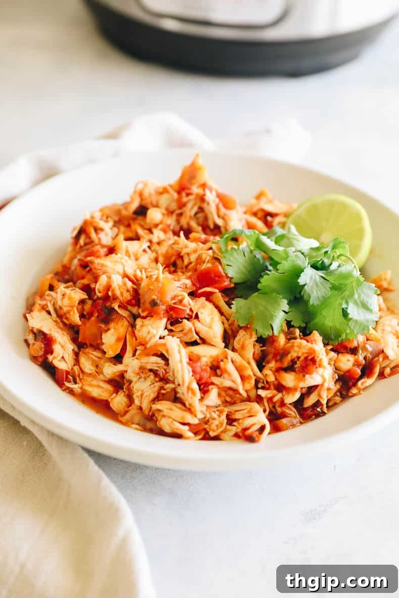 Spicy Instant Pot Chicken Fiesta 6 A hearty bowl of Instant Pot Salsa Chicken, garnished and ready to be enjoyed.