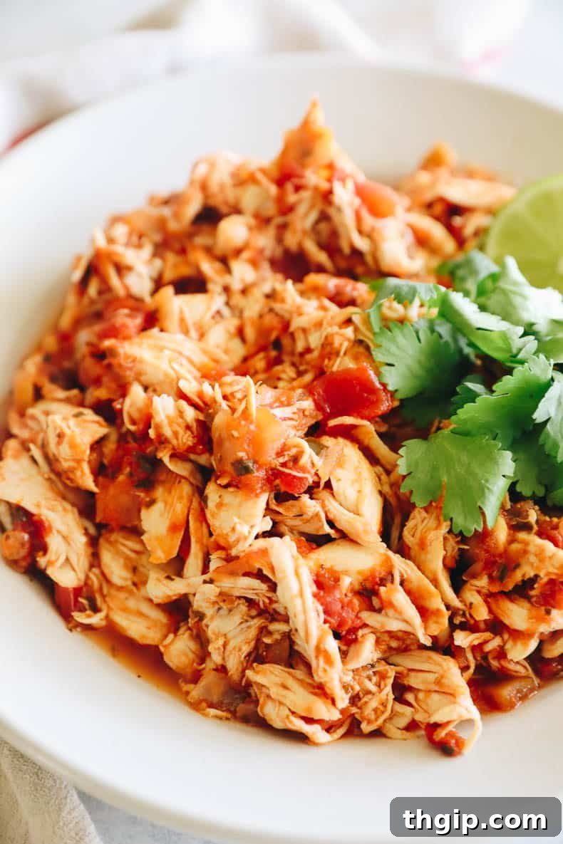 Spicy Instant Pot Chicken Fiesta 8 A final shot of the delectable Instant Pot Salsa Chicken in a bowl, ready to be devoured.