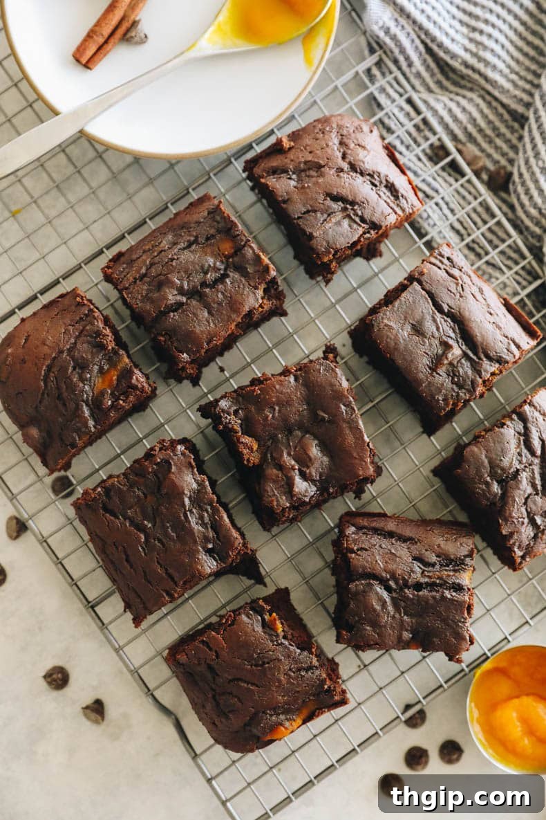 Autumn Pumpkin Brownies 9 Overhead shot of warm pumpkin brownies cooling on a wire rack, steam gently rising.