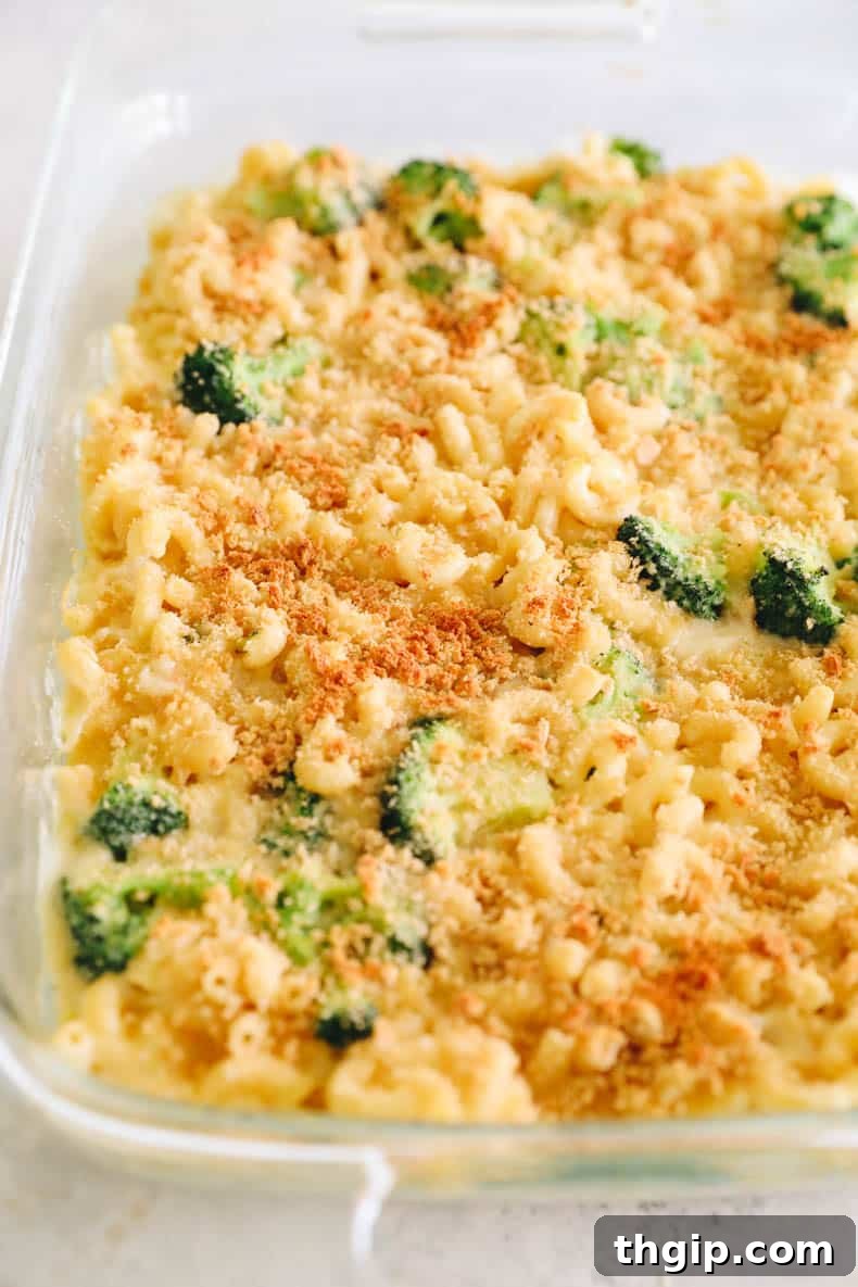 Wholesome Mac & Cheese 6 A baking dish filled with healthy baked mac and cheese, golden brown and bubbly from the oven.