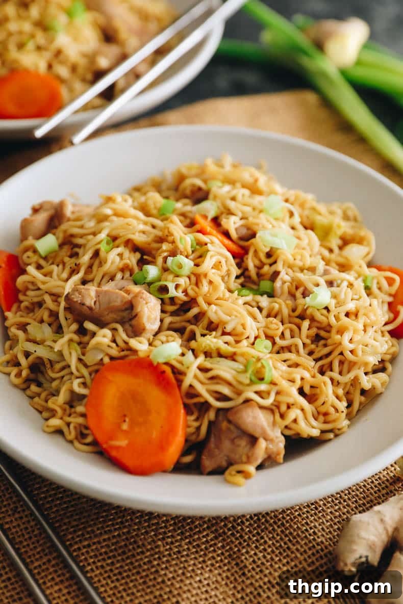 chow mein noodles with chicken carrots, cabbage and green onions in a white plate.
