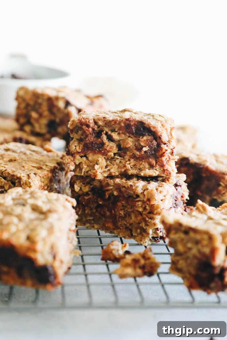 two oatmeal bars stacked on top of one another on a wire rack.