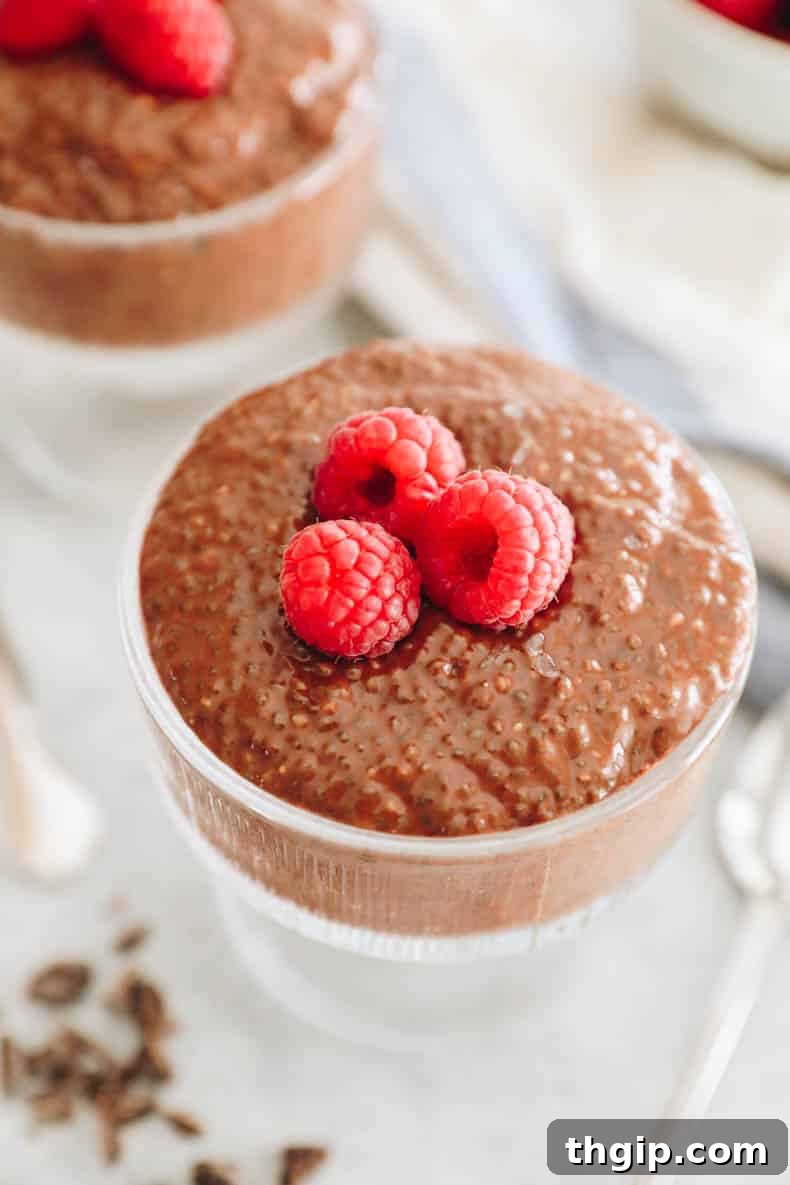 A serving of chocolate chia pudding in a glass cup, generously topped with vibrant fresh raspberries, ready to be eaten.