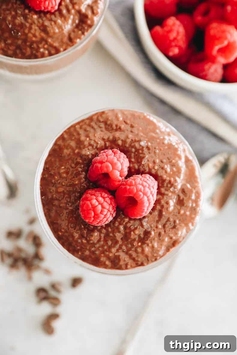 An overhead shot of chocolate chia pudding in a clear glass cup, topped generously with fresh raspberries, showcasing its creamy texture.