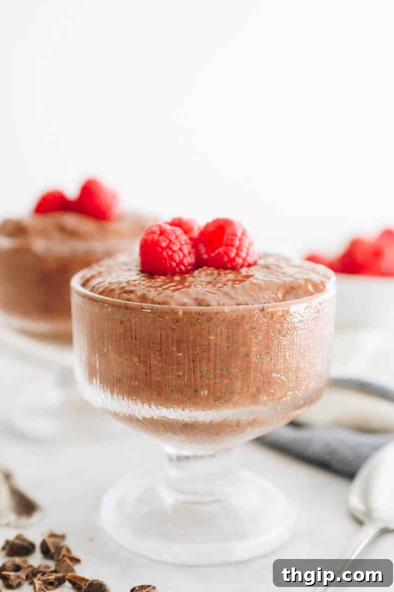 A final shot of the chocolate chia pudding, topped and ready to be enjoyed as a healthy and satisfying meal or dessert.