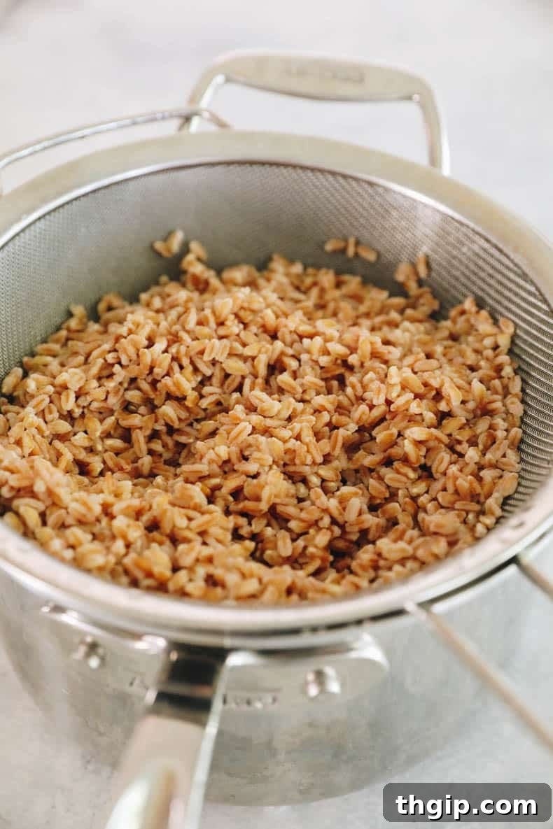 Vibrant Summer Farro Bowl 3 perfectly cooked farro in a fine-mesh strainer, ready to cool